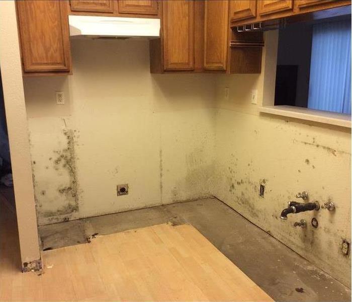 mold in kitchen before