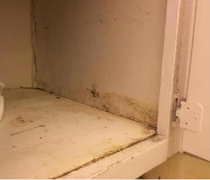 Visible mold inside cabinets
