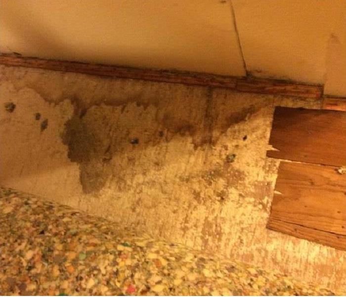 Mold discovery under carpet pad