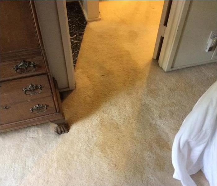 Saturated carpet
